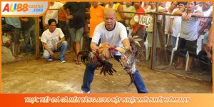 Trực Tiếp Đá Gà Nền Tảng AU88 Cập Nhật Mới Nhất Hôm Nay